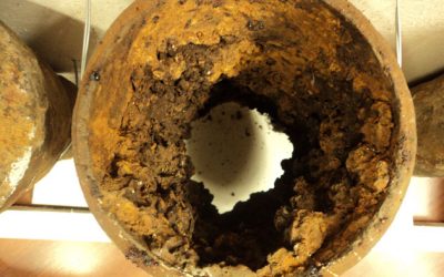 Desentupidora de Ralo na Freguesia do Ó em São Paulo: A Solução Eficiente e Profissional da Desentupidora Bairro